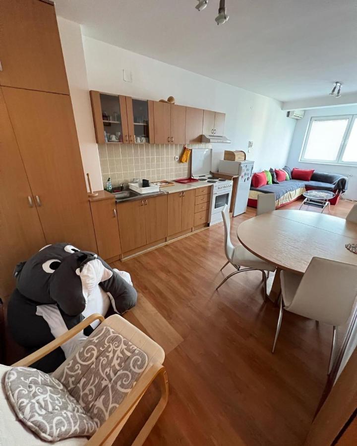 Apartments D&D Požarevac エクステリア 写真